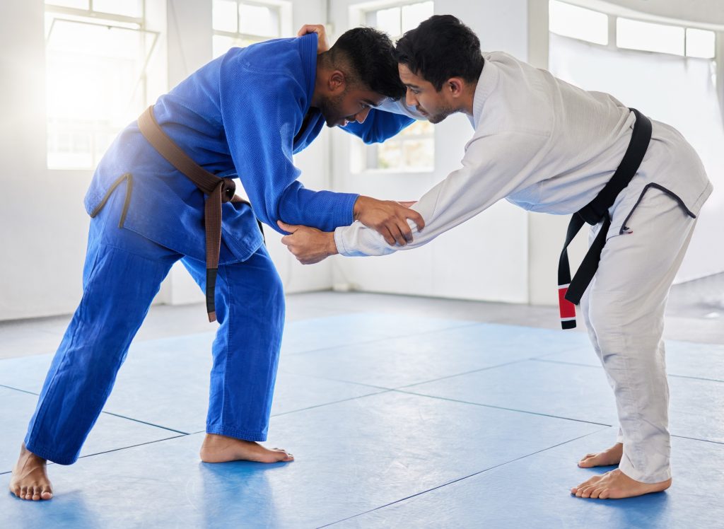 The Future of Jiu-Jitsu: Trends and Projections in Martial Arts on Long Island! Featured Image 000113