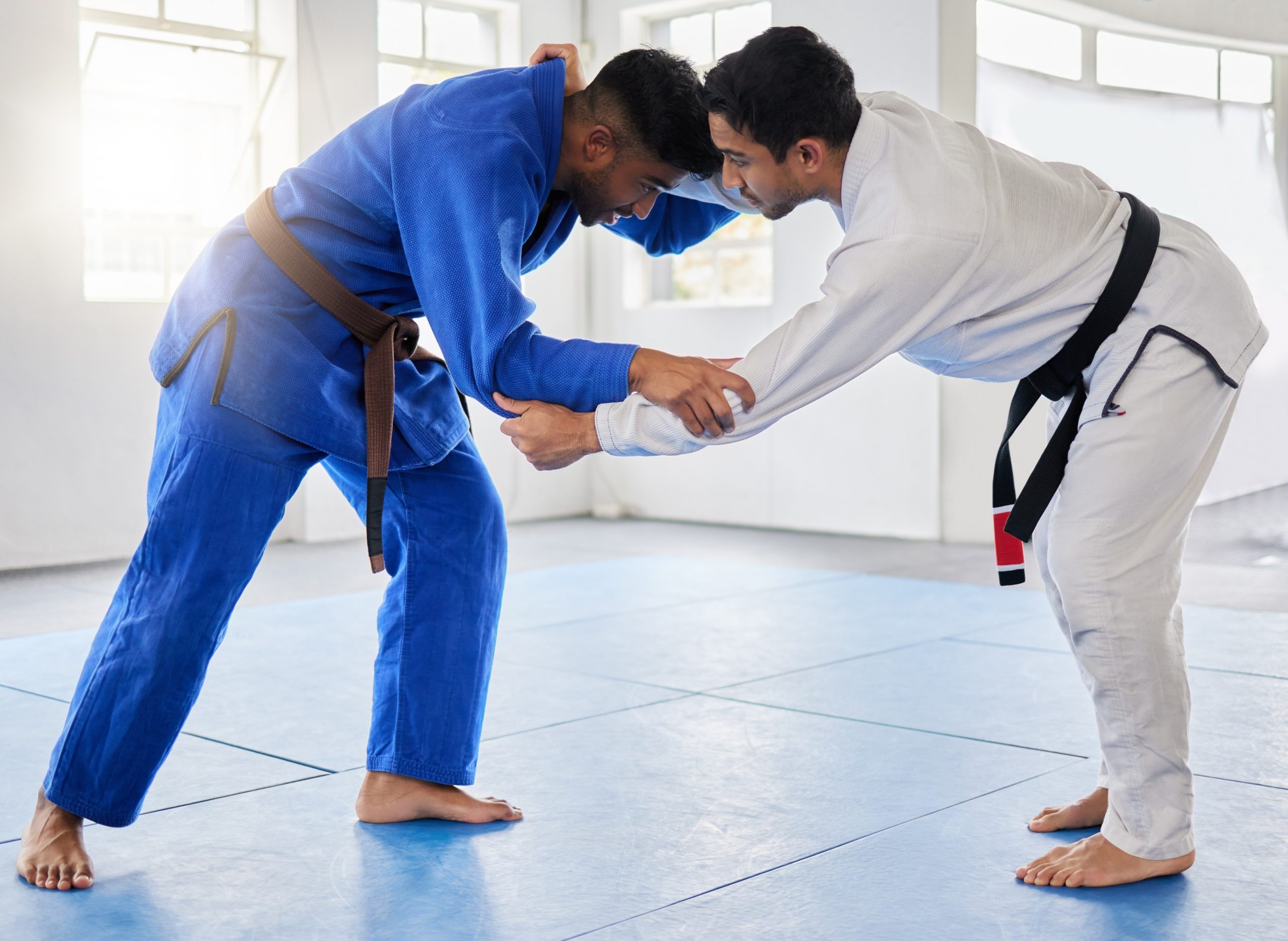 The Future of Jiu-Jitsu: Trends and Projections in Martial Arts on Long Island! Featured Image 000113